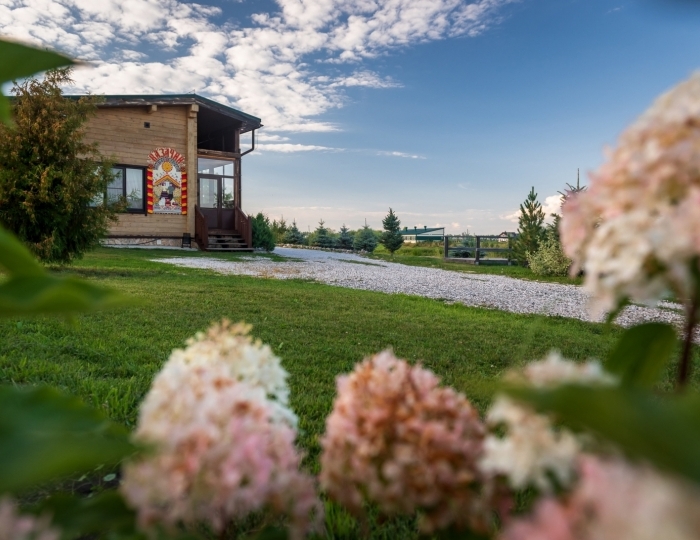 Мини-отель «Золото Алтая» Новотырышкино