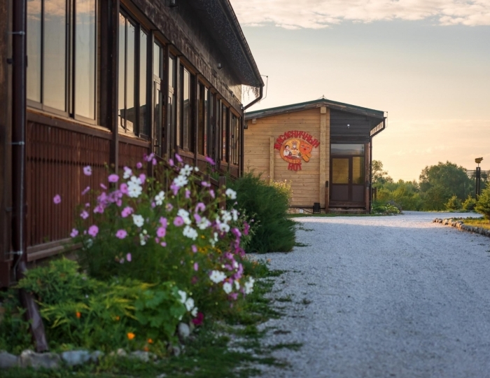 Мини-отель «Золото Алтая» Новотырышкино