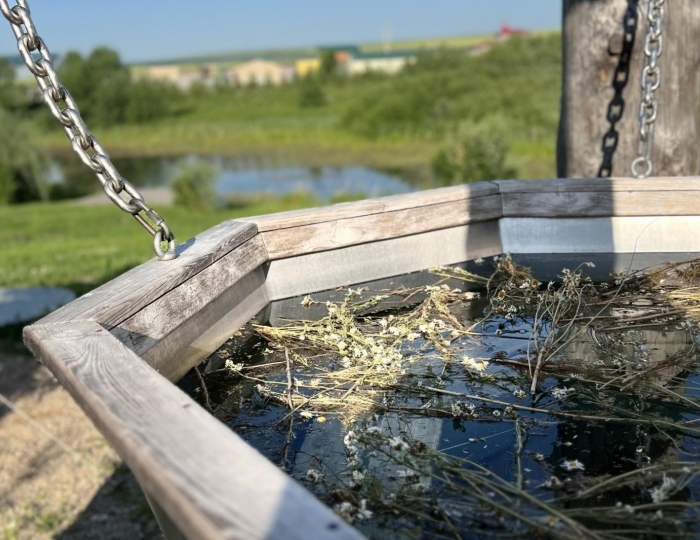 SPA-отдых - Мини-отель «Золото Алтая» Новотырышкино