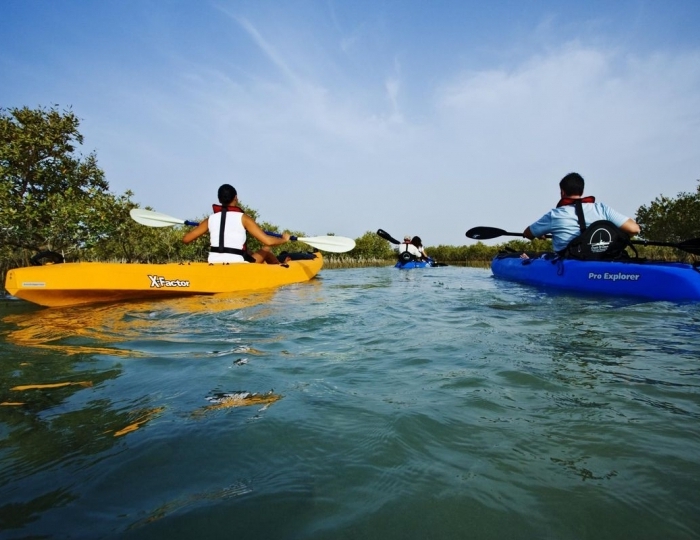 Anantara Sir Bani Yas Island Al Yamm Villa Resort 5 звезд, остров Сир-Бани-Яс, ОАЭ