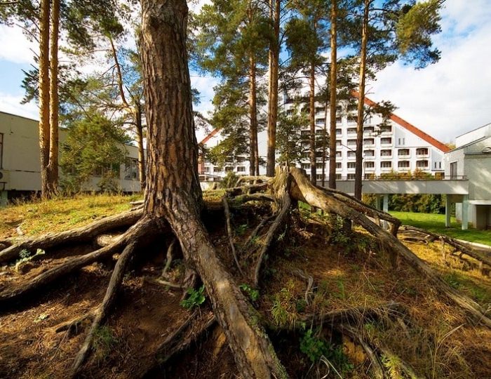 Пансионат «Верхневолжский»