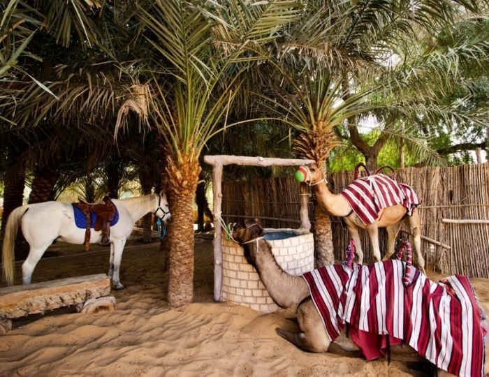 Telal Resort 5 звезд, Аль-Айн, ОАЭ