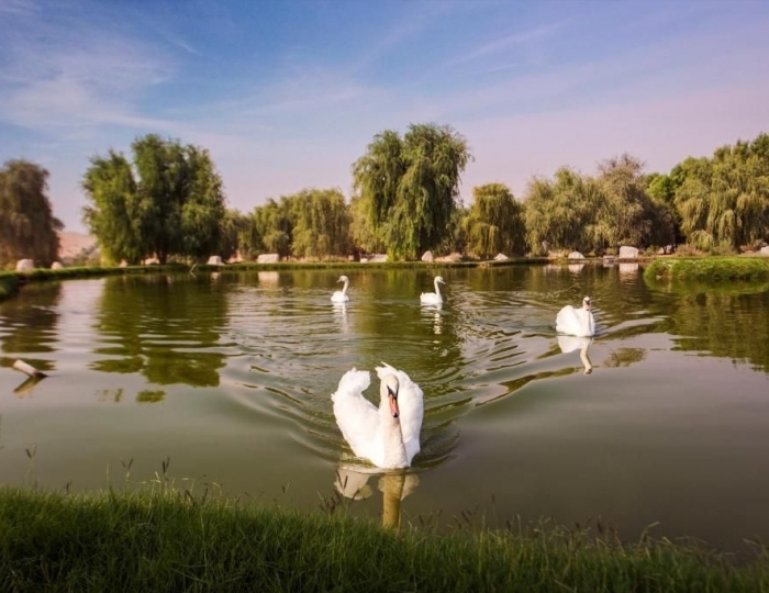 Telal Resort 5 звезд, Аль-Айн, ОАЭ