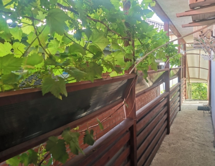 Гостевой дом «Елисеевский» Геленджик