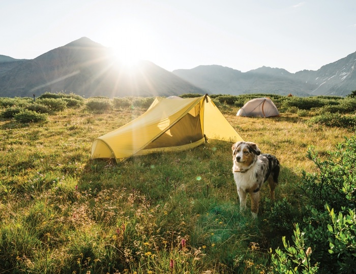 Летние развлечения на территории курорта - Отель Марриотт Красная Поляна / Sochi Marriott Krasnaya Polyana