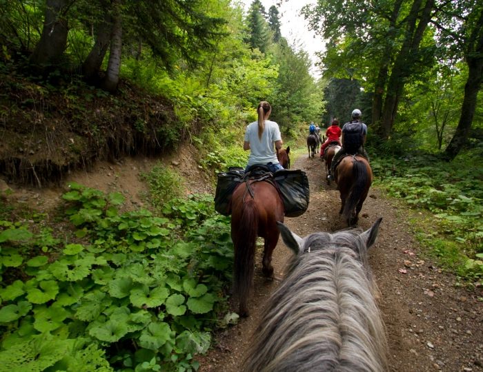 Летние развлечения на территории курорта - Отель Марриотт Красная Поляна / Sochi Marriott Krasnaya Polyana