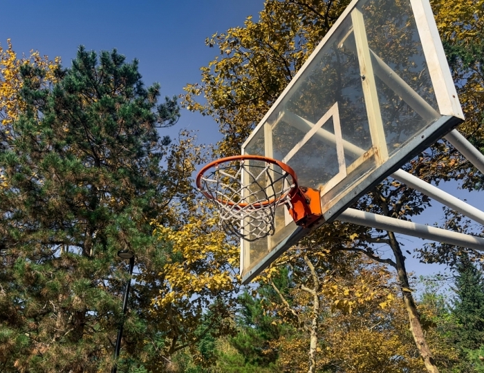 Услуги, развлечения и спорт - АМАКС Курорт «Орбита»