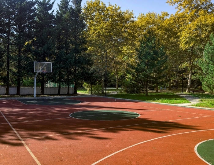 Услуги, развлечения и спорт - АМАКС Курорт «Орбита»