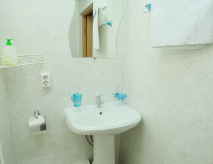 Номер стандарт с 1 двуспальной кроватью - Отель «Сибирь» Шерегеш