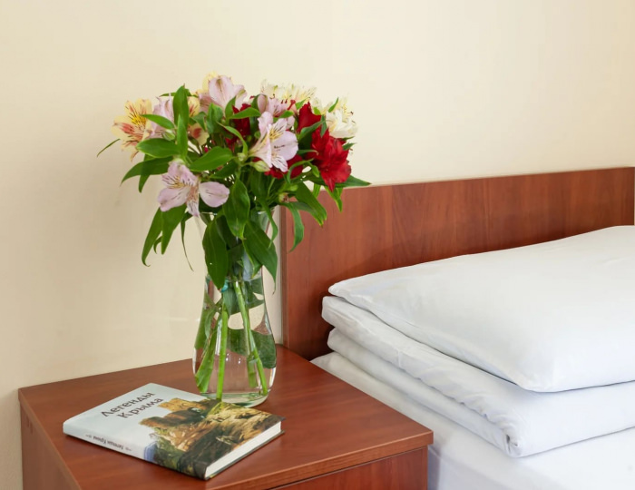 Стандарт улучшенный - Санаторий «Таврия» Евпатория