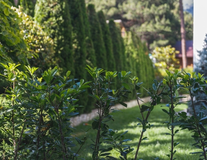 Отель «Диона» Геленджик