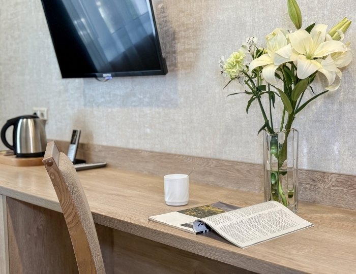 Стандарт 2-местный DBL - Отель «Диона» Геленджик