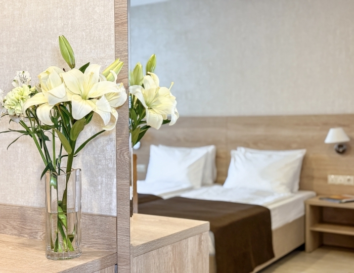 Стандарт 3-местный TWIN - Отель «Диона» Геленджик