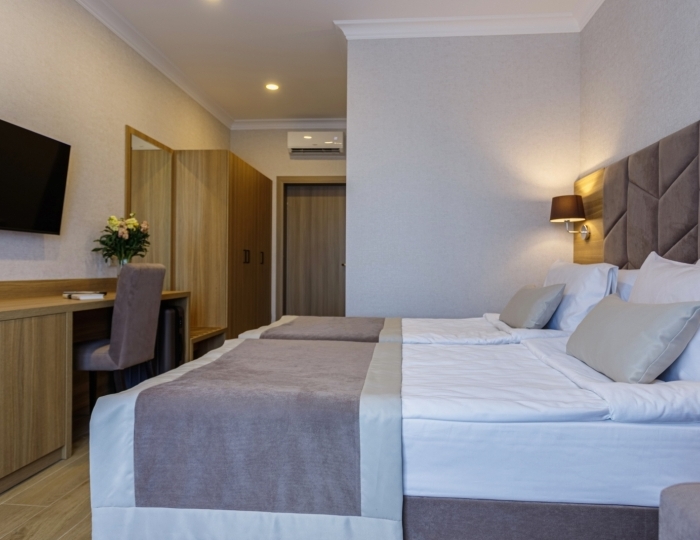 Стандарт+ 3-местный TWIN - Отель «Диона» Геленджик