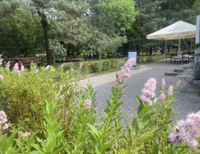 Загородный комплекс «Парк Полянка» Бульково