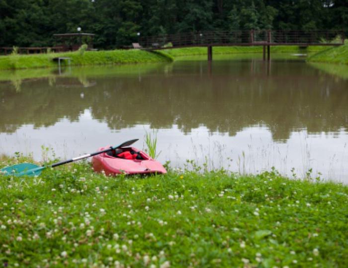 Прокат - Отель Fresh Wind / Свежий Ветер