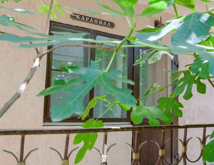 Гостевой дом «Виноградная лестница» Геленджик