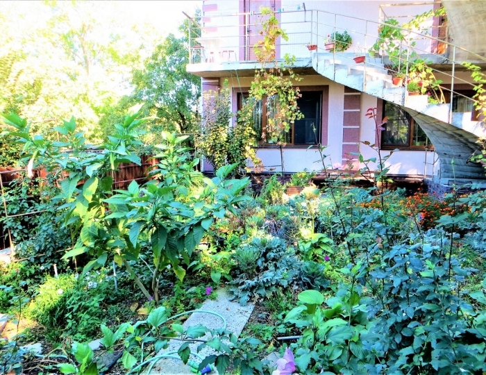 Гостевой дом «Эдем» Джанхот