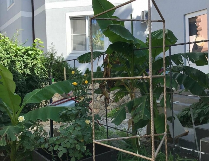 Гостевой дом «Эдем» Джанхот