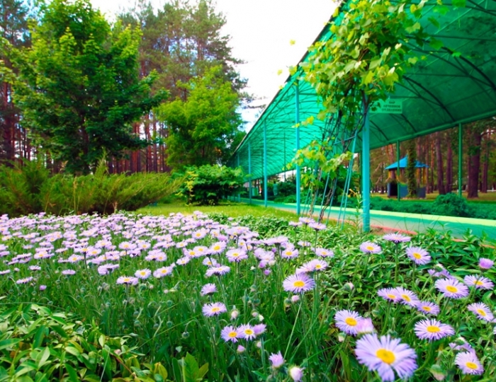 Санаторий «Приднепровский»