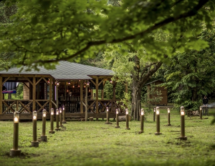 Отель Borjomi Likani Health & Spa Centre / Боржоми Ликани Хелс и СПА Центр Боржоми