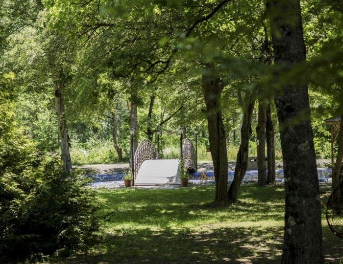 Отель Borjomi Likani Health & Spa Centre / Боржоми Ликани Хелс и СПА Центр Боржоми