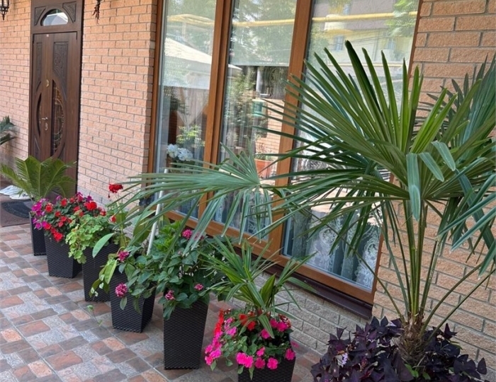 Гостевой дом «Амалия» Сочи