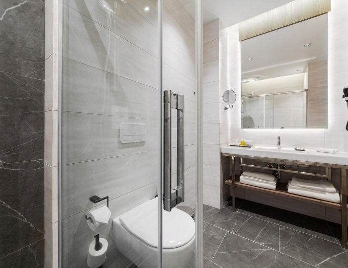 Номер стандарт с 1 двуспальной кроватью (с завтраком) - Гранд-отель «Мегаполис» Смоленск