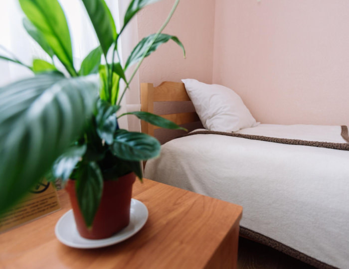 Номер стандарт с 2 односпальными кроватями (с завтраком) - Отель «Oto Смоленск» Смоленск