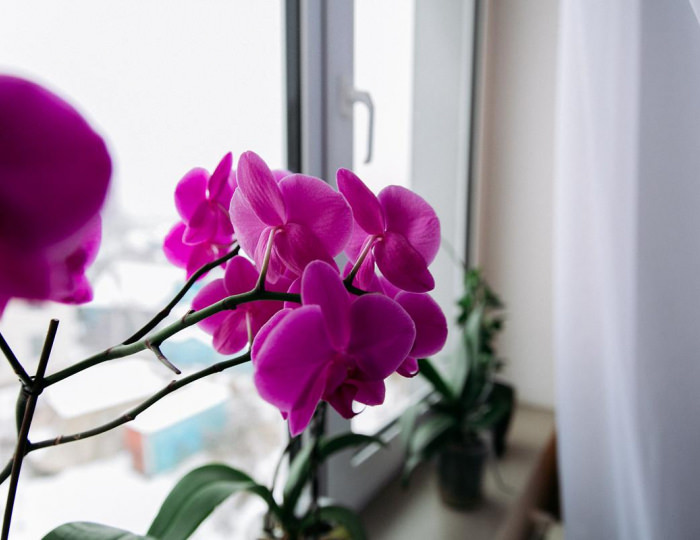 Номер полулюкс - Отель «Прага» Смоленск