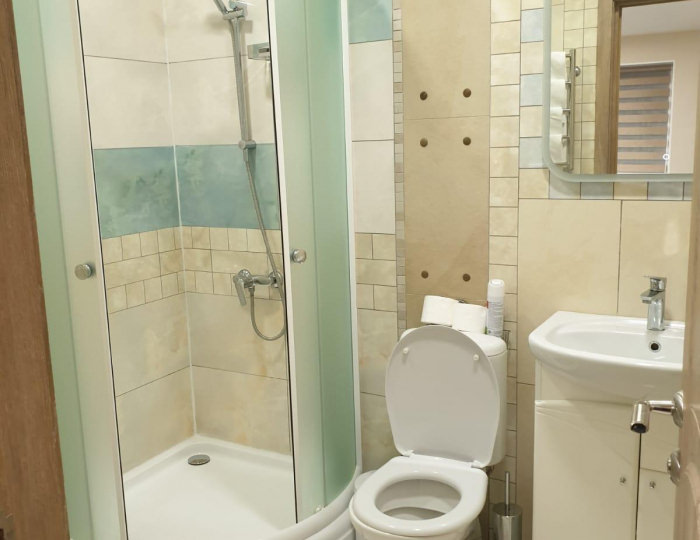 3-местный номер стандарт (с завтраком) - Мини-отель «Арагац» Смоленск