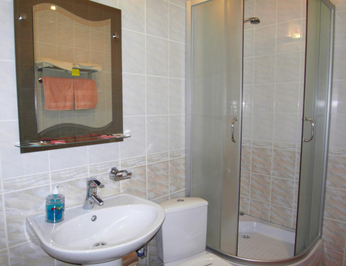 Номер стандарт с 1 односпальной кроватью (с завтраком) - Отель «Дворянское гнездо» Смоленск