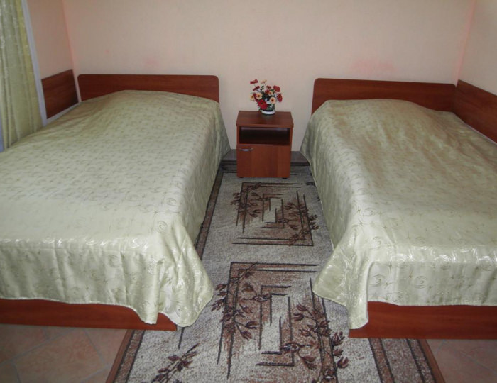 Номер стандарт с 2 односпальными кроватями (с завтраком) - Отель «Дворянское гнездо» Смоленск