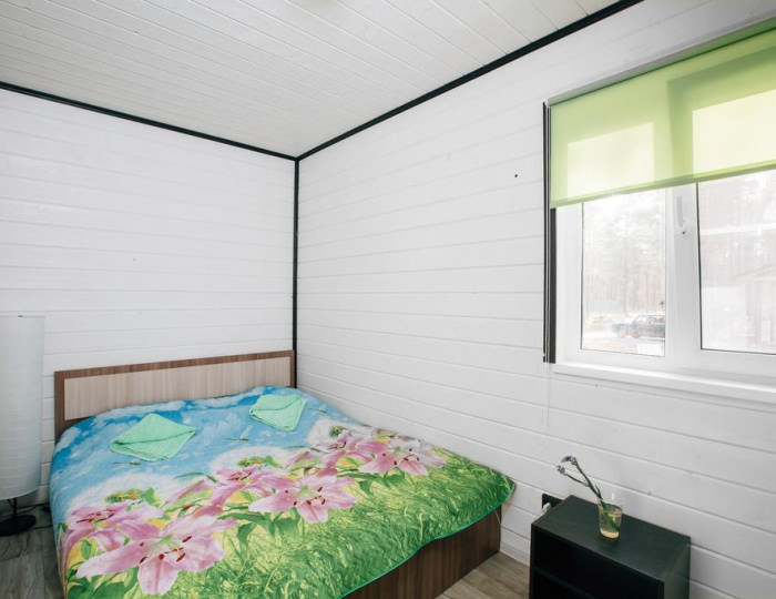 Коттедж 6-местный Карельская береза - База отдыха «Северное сияние» Курмойла