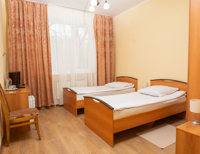 Стандарт 2-местный 1 корпус - Санаторно-курортный комплекс «Ателика Снежка» Брянск