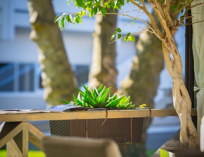 Летняя беседка - Отель Sea Galaxy Hotel Congress & SPA / Си Гэлакси