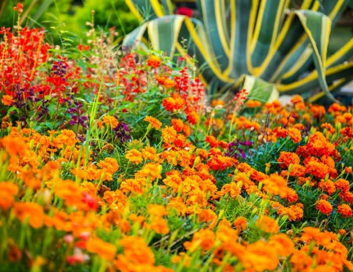 Отель Sea Galaxy Hotel Congress & SPA / Си Гэлакси