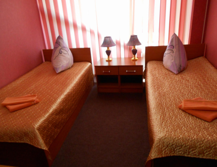 Номер стандарт с 2 односпальными кроватями - Отель «Кагау на Гагарина» Пенза