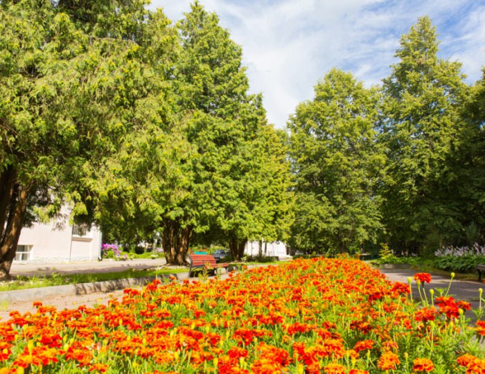 Санаторий «Литвиново»