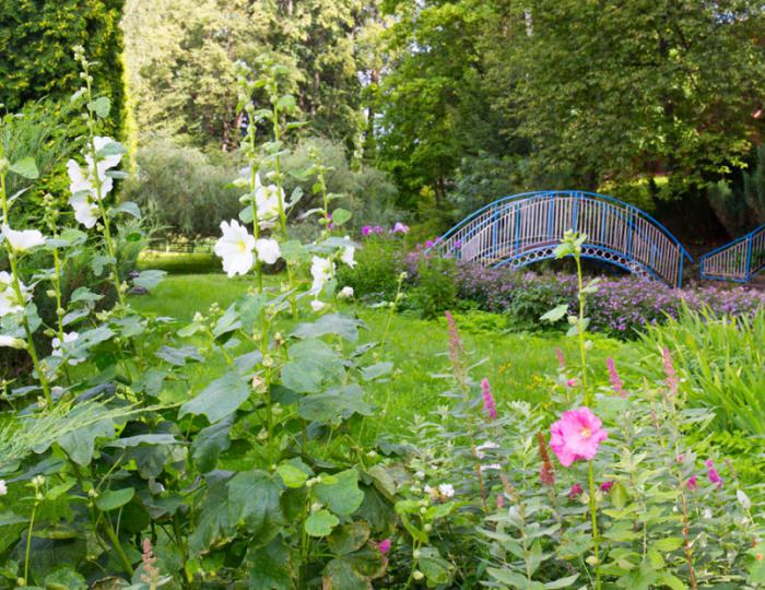 Санаторий «Литвиново»