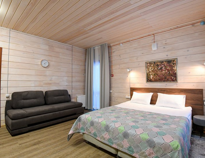 Стандарт 2-местный - База отдыха «Заимка Лесника» Белокуриха