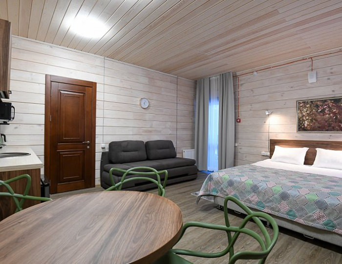 Стандарт 2-местный - База отдыха «Заимка Лесника» Белокуриха