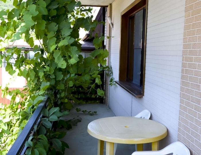 Гостевой дом «Сакартвело» Архипо-Осиповка