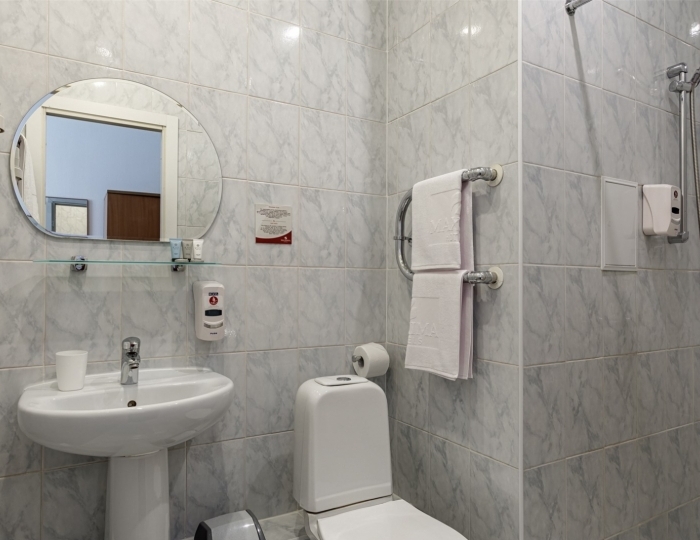 Стандарт Двухместный (Двухспальная Кровать) - Отель «Максима Ирбис Отель» Москва