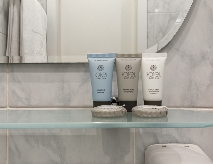 Стандарт Двухместный (Двухспальная Кровать) - Отель «Максима Ирбис Отель» Москва