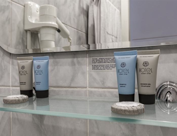 Стандарт Двухместный (Отдельные Кровати) - Отель «Максима Ирбис Отель» Москва