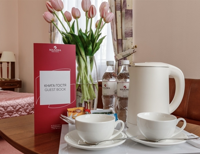 Люкс "Модерн" (Двухспальная кровать) - Отель «Максима Ирбис Отель» Москва