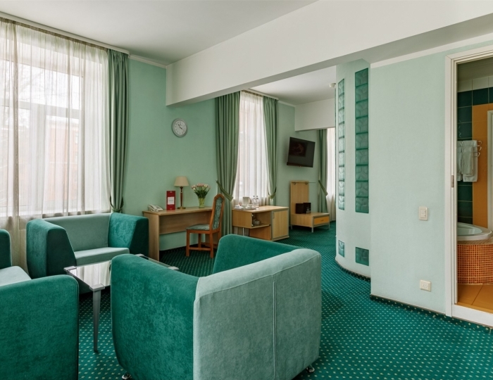 Люкс "Фисташковый"(Двухспальная кровать) - Отель «Максима Ирбис Отель» Москва