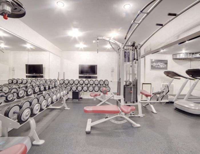 Услуги, развлечения и спорт - Отель «Максима Ирбис Отель» Москва