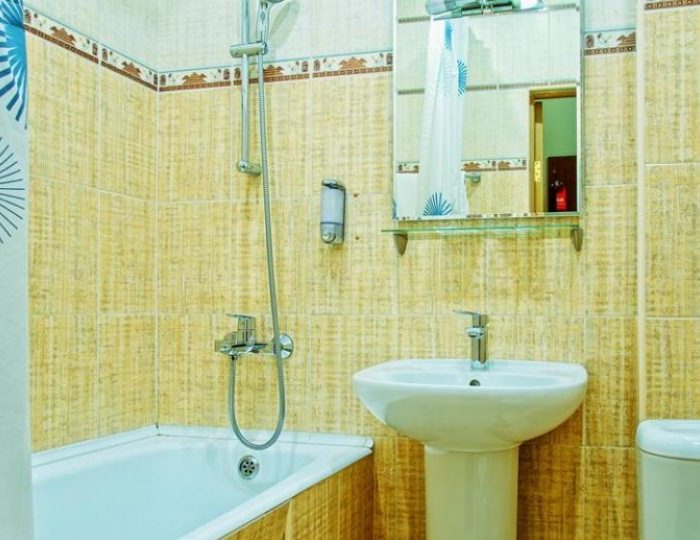 Эконом DBL - Гостиница «Золотой Колос» Москва (корпус 3)